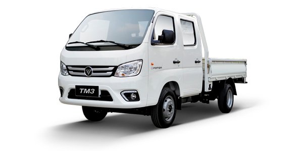 auto foton tm3