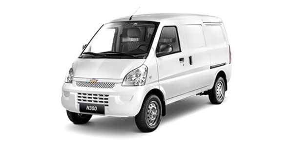 auto n300